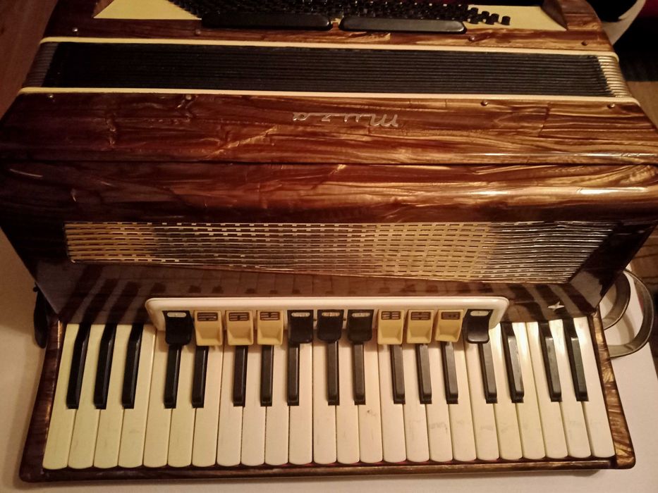 Akordeon Muza 120 bas
