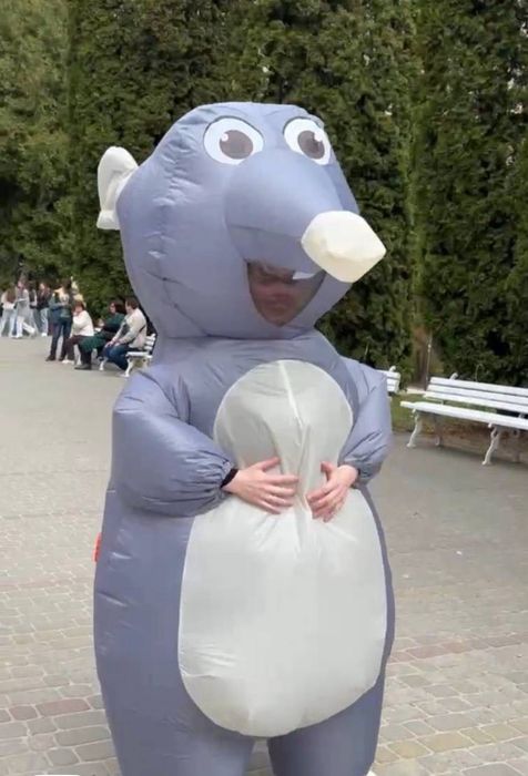 ОРЕНДА костюм мишки