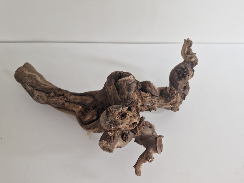 Trixie Reptiland  konar winorośli do terrarium