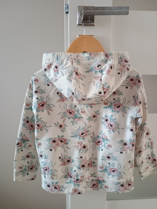 Bluza Coccodrillo