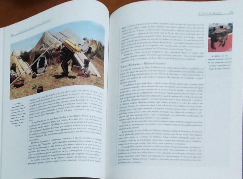 Explorando as profundezas - Seleções Readers Digest