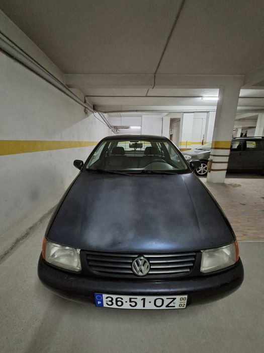 VW Polo