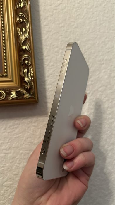 iphone  12 pro