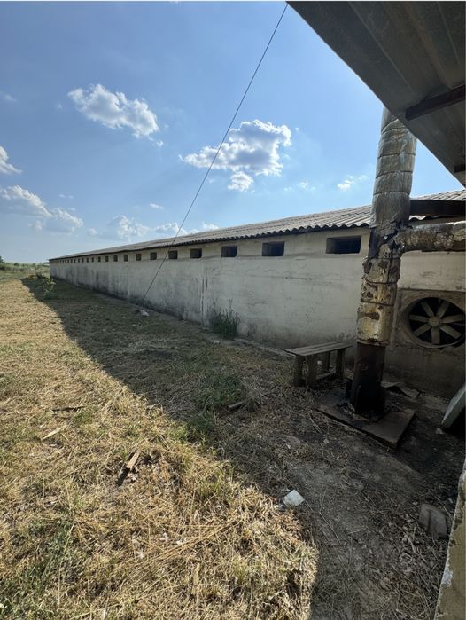 Продам помещение с. Голубовка