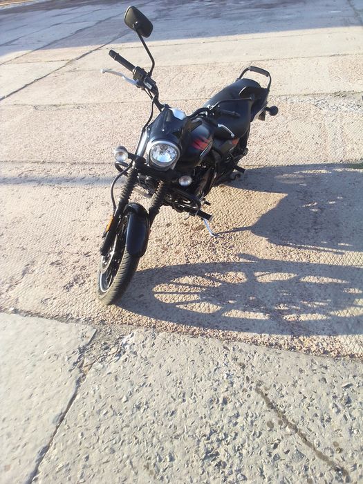 Баджач в гарному стані