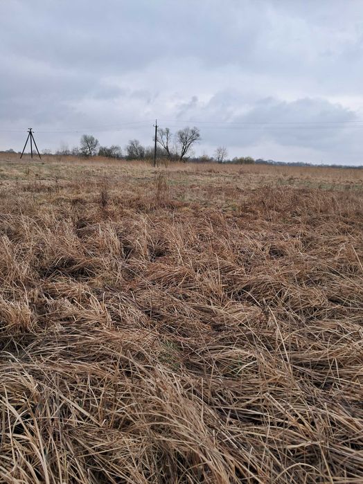 Продаж земельної ділянки поруч Львова у м.Пустомити-12000$