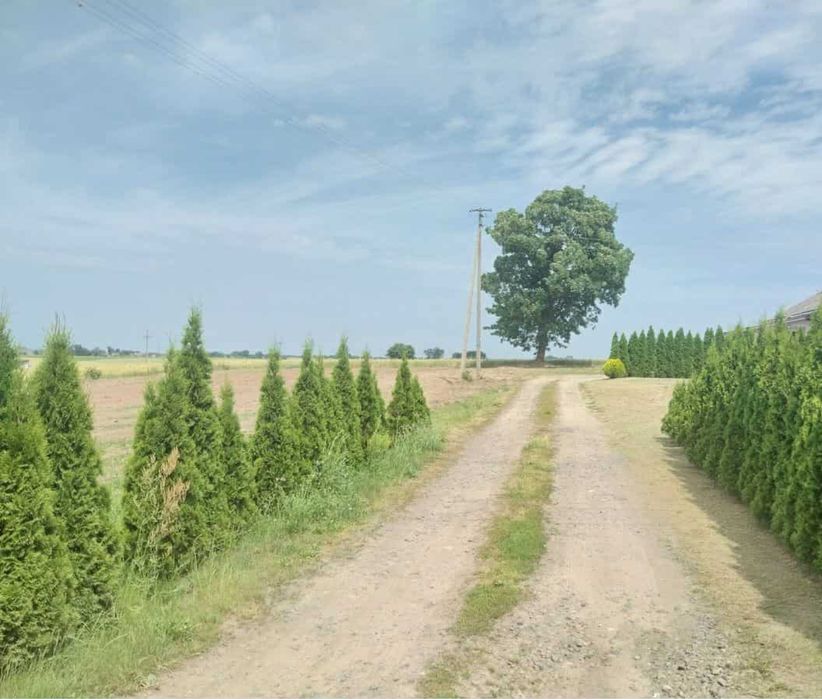 Działka budowlana 9,5 ar Giewartow ul Wichlińskiego