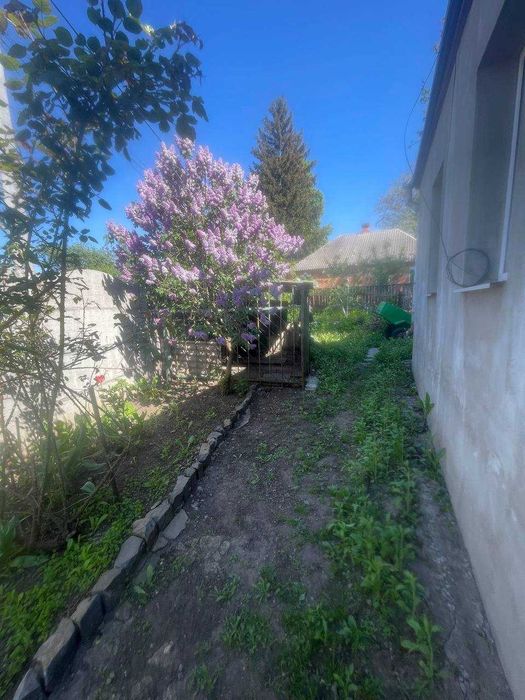 Продам терміново міцний цегляний будинок в Дергачах