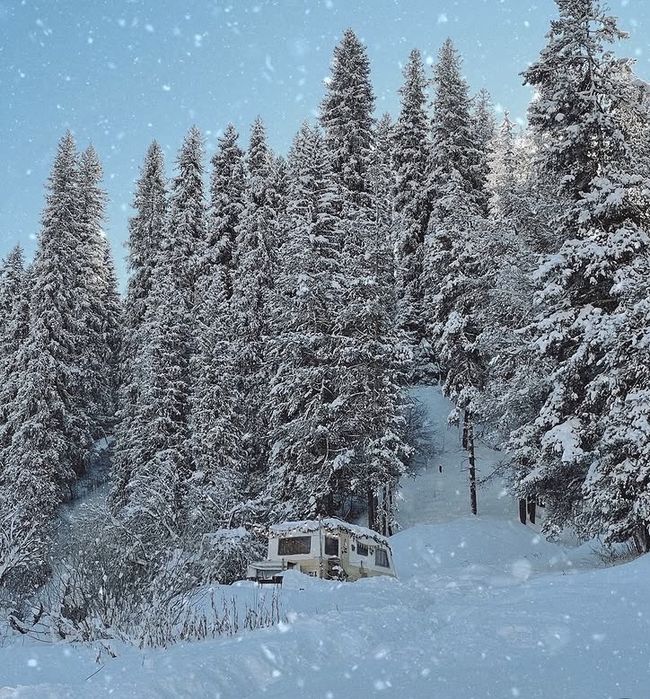 Оренда ділянки в серці Карпат - (біля Верховини). Для ДОМУ НА КОЛЕСАХ