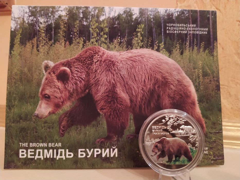 Чорнобиль. Відродження. Ведмідь бурий.