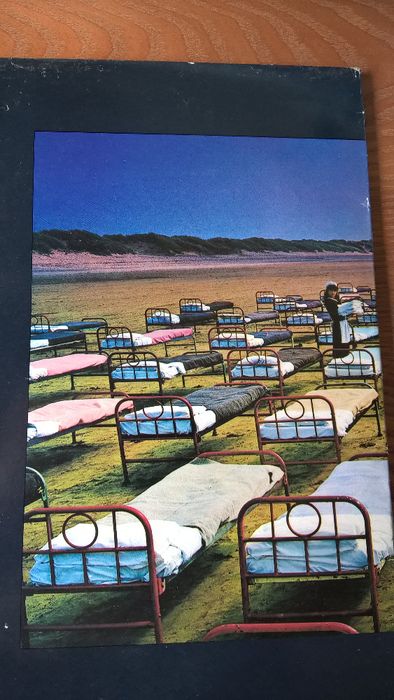 Pink Floyd - A Momentary Lapse of Reason - VINIL 1987
