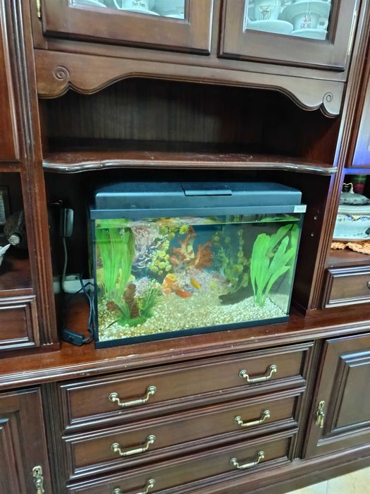 Móvel de sala com vitrine