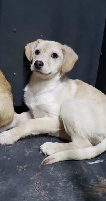 Малышка в хорошие ручки!