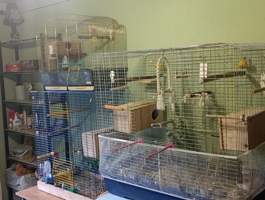 Клітки для папуг
