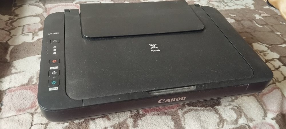 Принтер Canon mg 2550s.