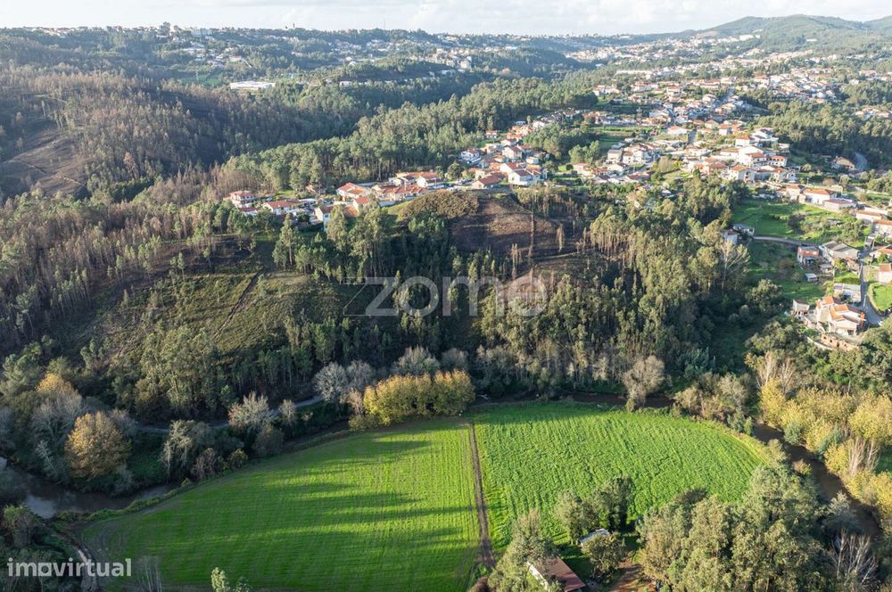 Terreno Florestal