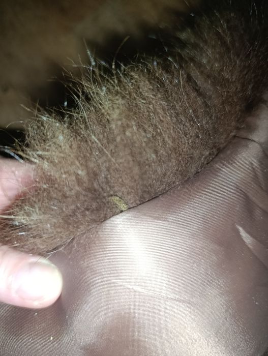 Песець комір для пуховика