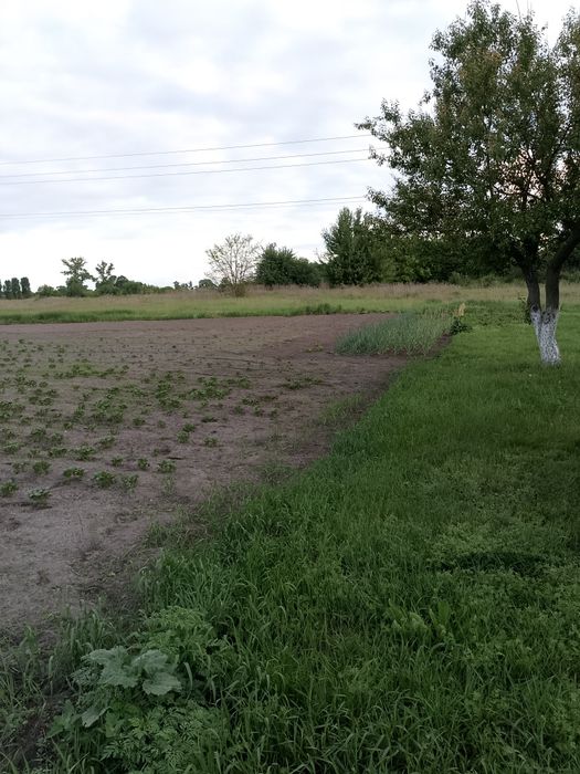 Земельна ділянка