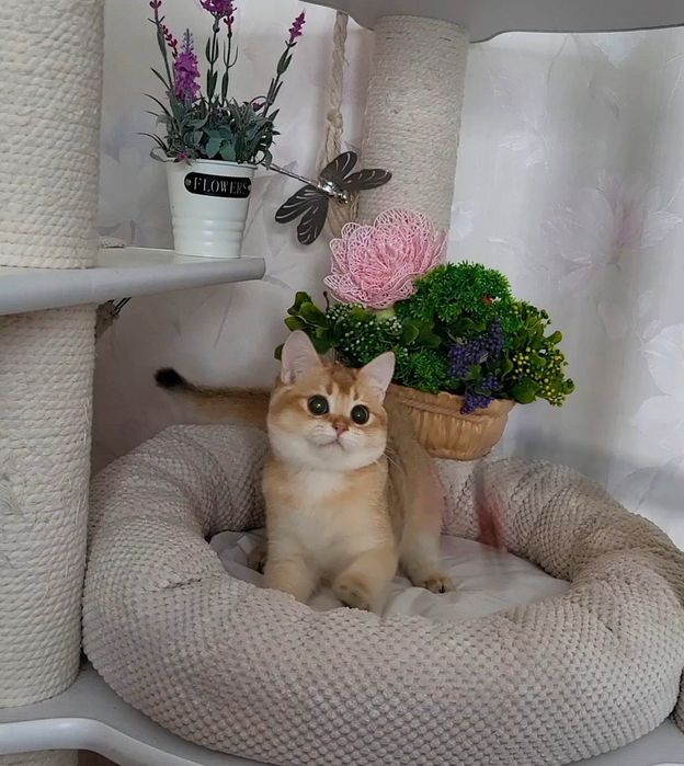 Очень целовательная девочка!