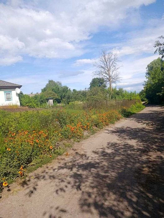 Будинок ділянка 10 соток Мена (SP)