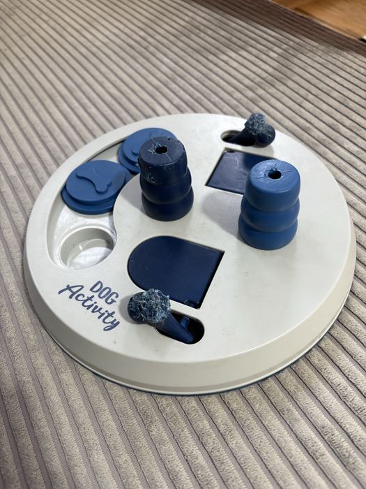 Zabawka edukacyjna dla psa