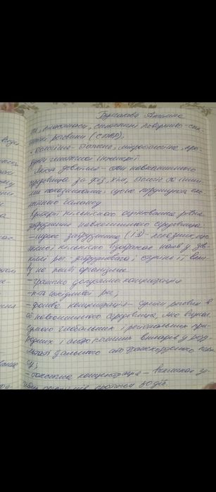 Пишу конспекти і реферати від руки, друкую на комп'ютері