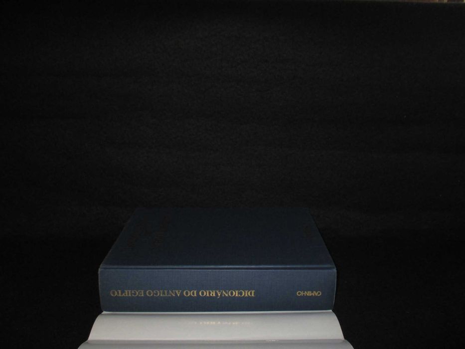 Livro Dicionário do Antigo Egipto Luís Manuel de Araújo