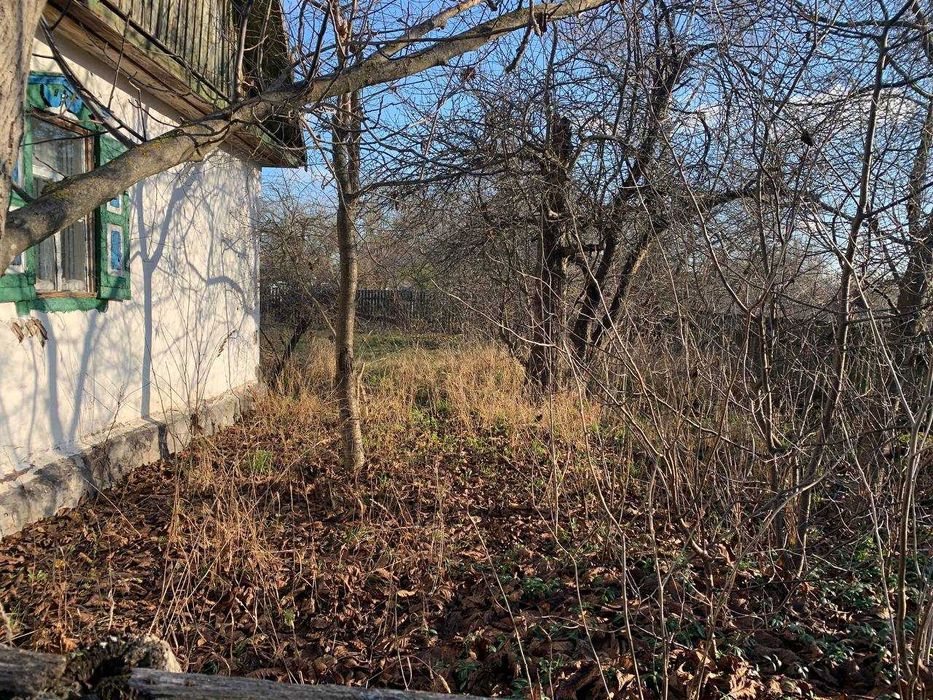 Приватний будинок