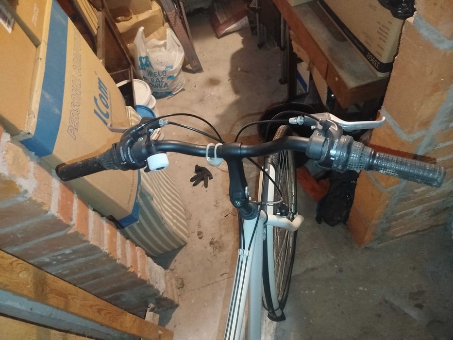 Rower holenderski zadbany