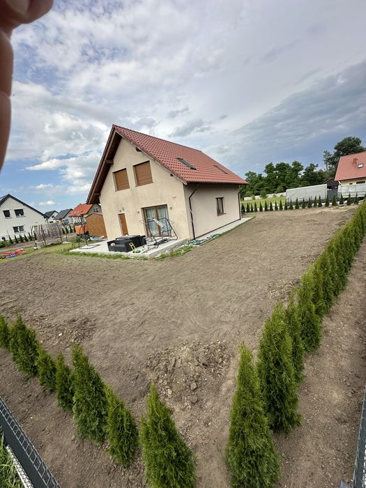 Tuja thuje szmaragdy szmaragd sadzenie trasport
