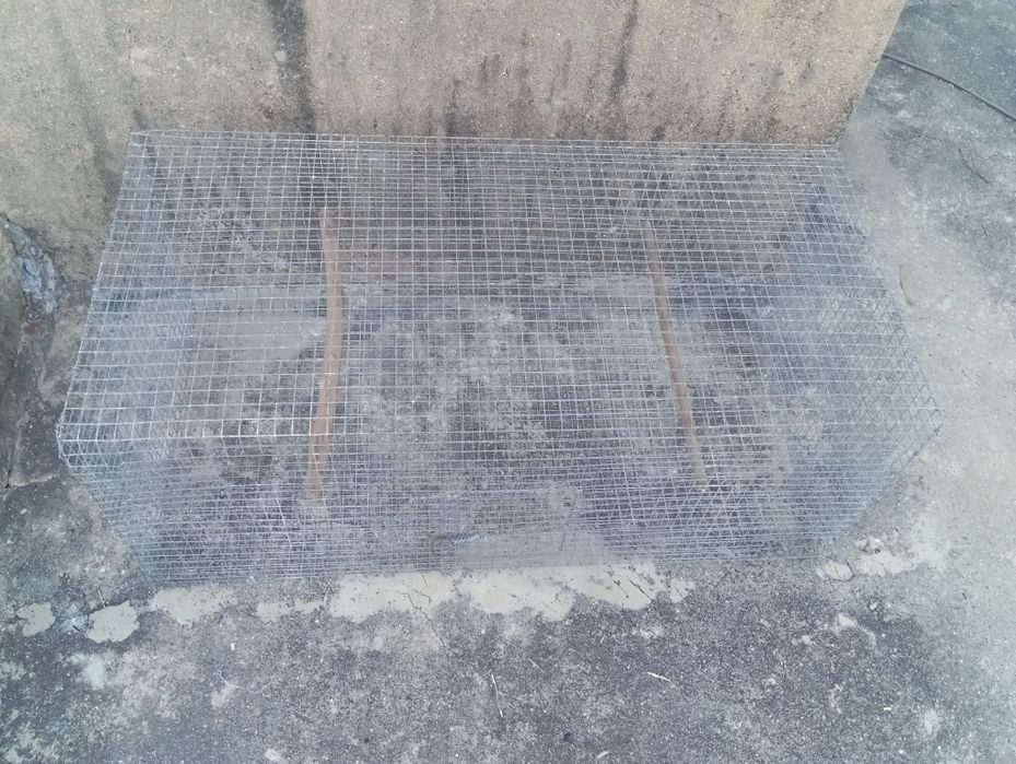 Viveiros em rede