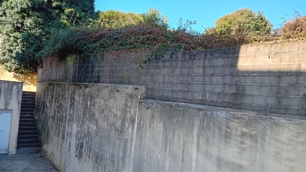 Limpeza de jardim