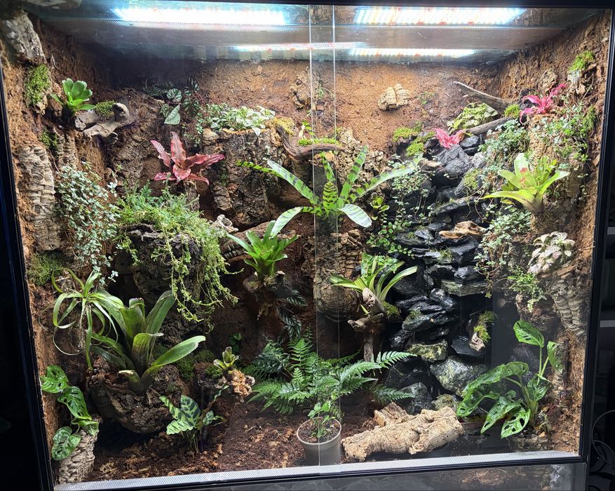 Terrarium/ paludarium/ wiwarium
