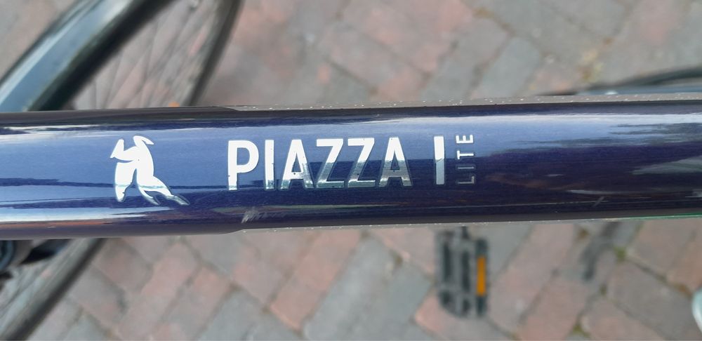 Pegasus Piazza - rower męski