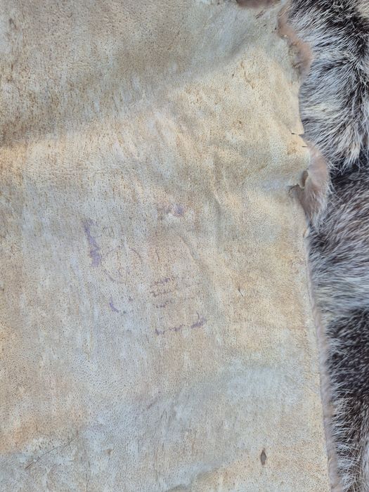 Futro, skórka z nutrii