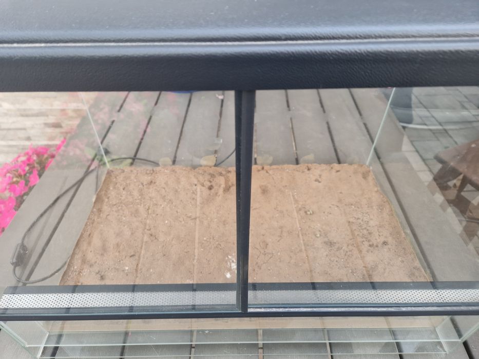 Terarium szklane