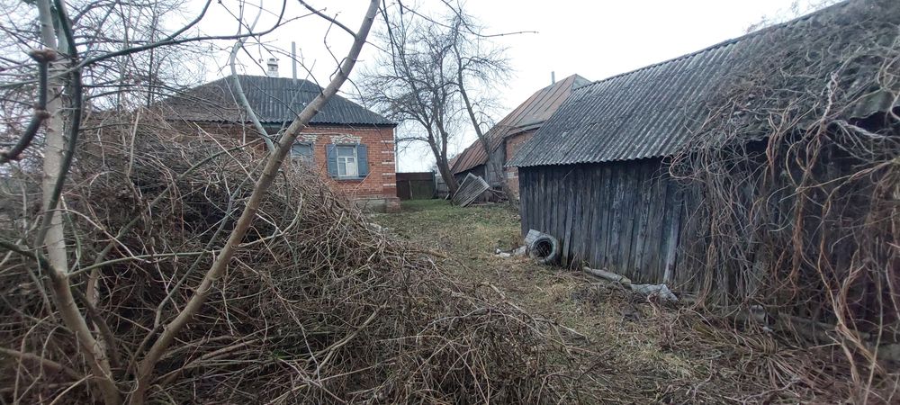 Продам дом в Солоницевском Отг (п.Ольшаны)