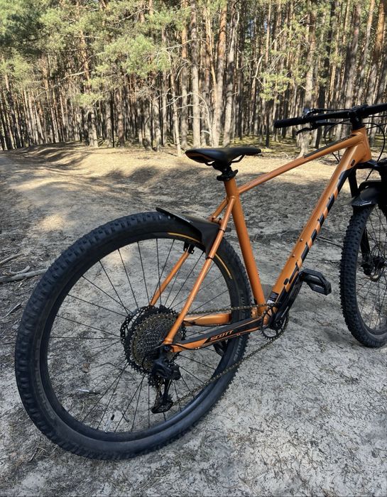 Scott scale 970 2020