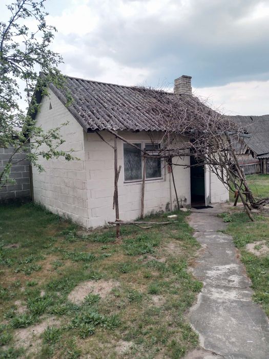Dom z siedliskiem Brzuza