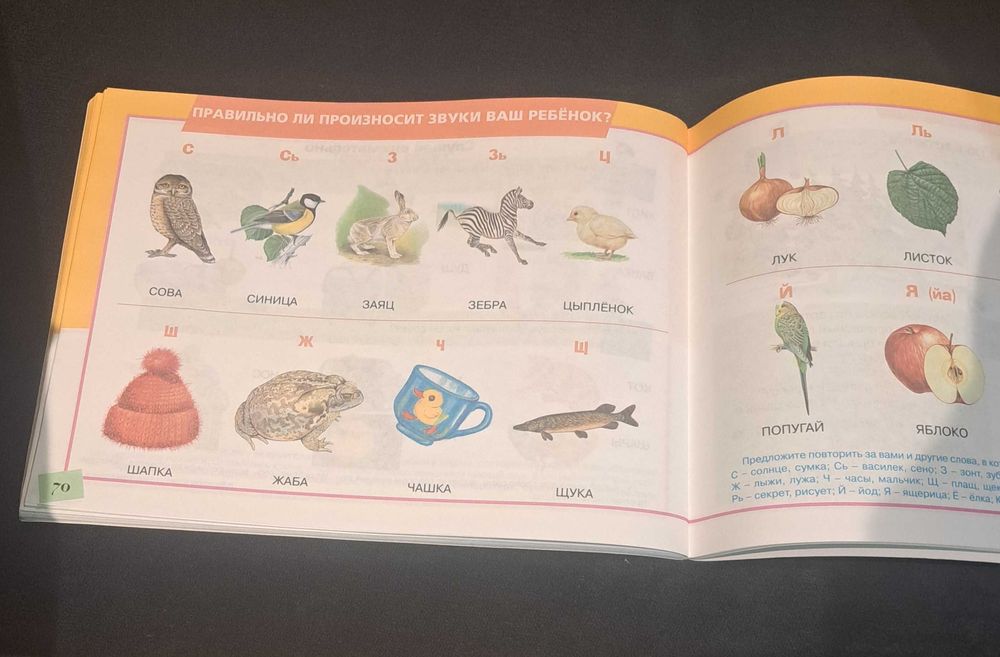 Książka Альбом по развитию речи. Говорим правильно/po rosyjsku