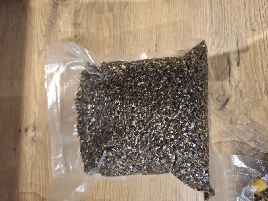 Konipia wedkarska 1kg