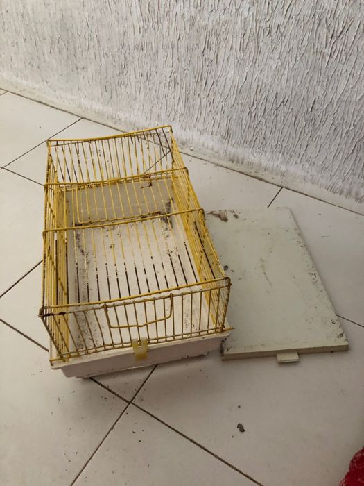 Gaiola para roedores