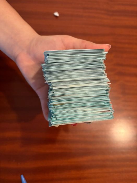 Cromis mundial panini