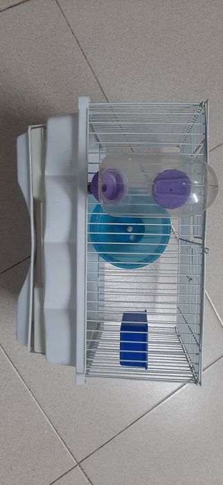 Gaiola hamster/cobaia