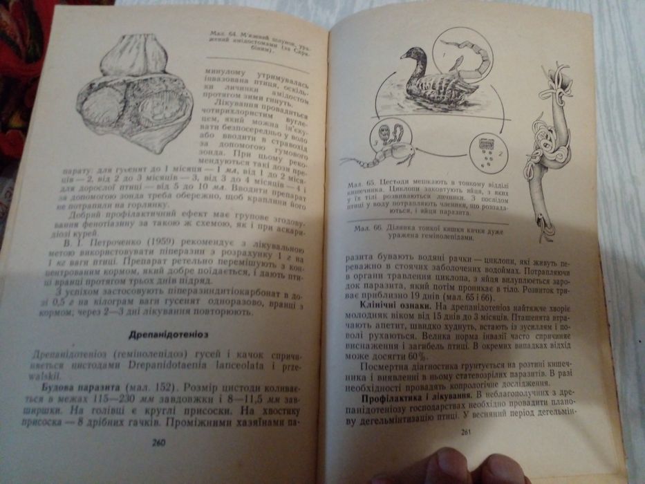 Советский справочник по лечению птиц