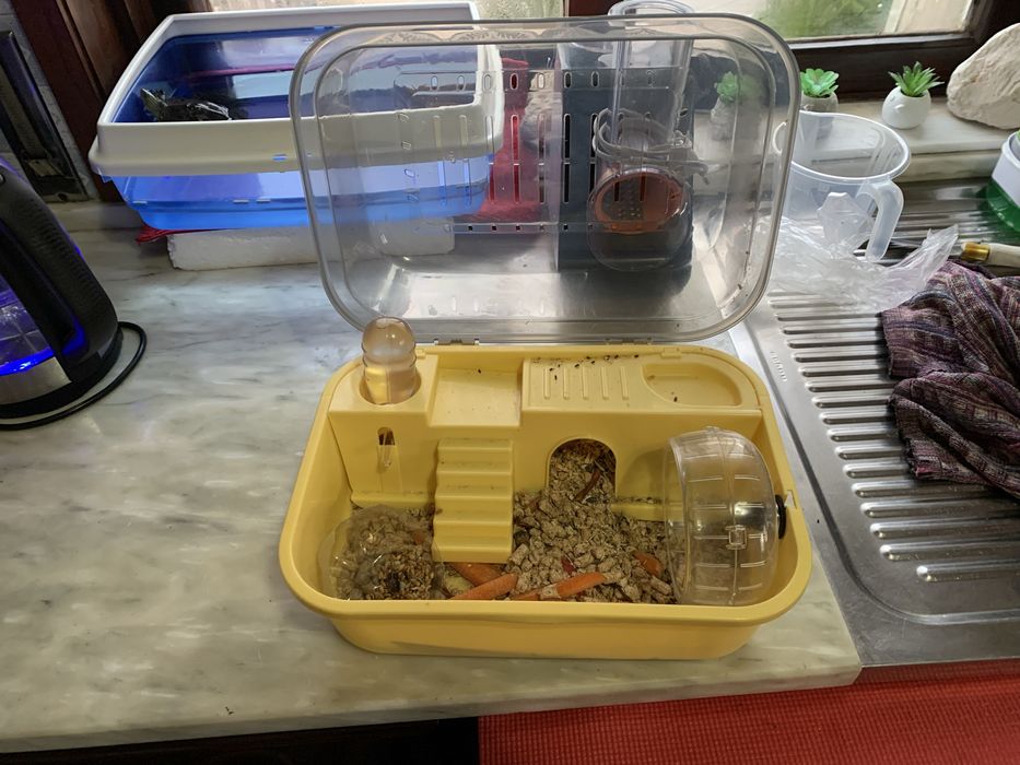 Gaiola de hamster