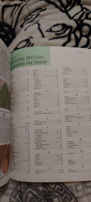 Автомобіль Селезньов, Комнатный аквариум, все об овощах