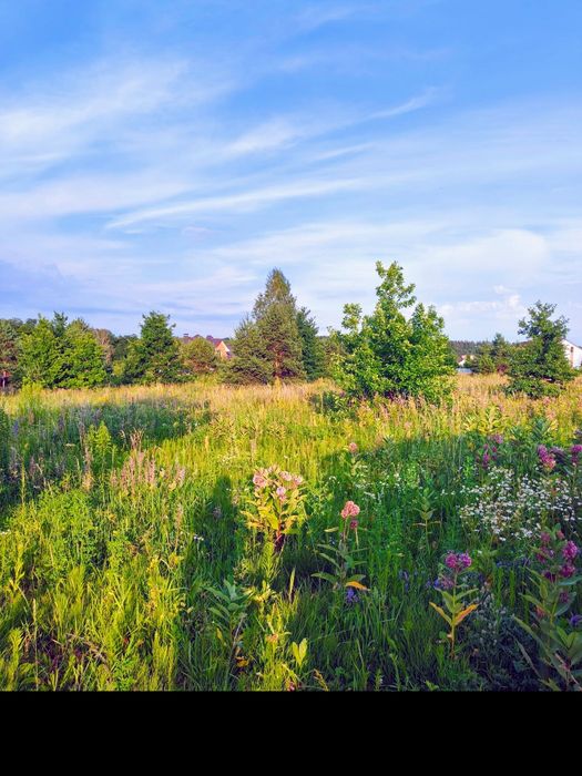 Земельна ділянка для комфортного будинку