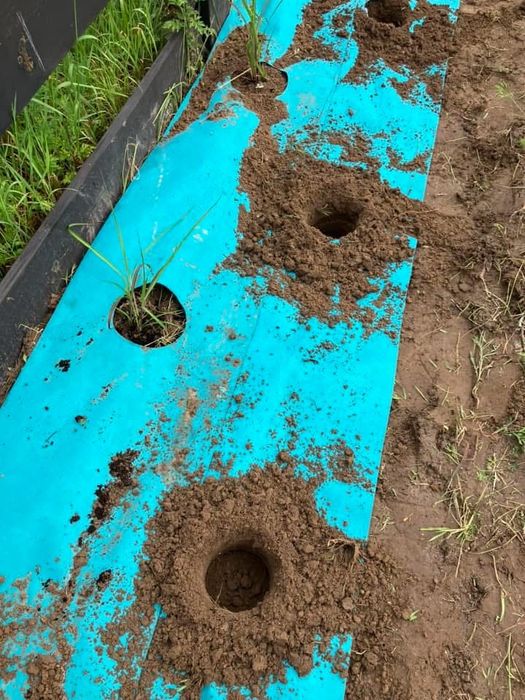 Wiertnica spalinowa - WYNAJEM