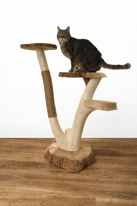 Drewniany drapak dla kota - handmade ,naturalne drewno ,PREMIUM
